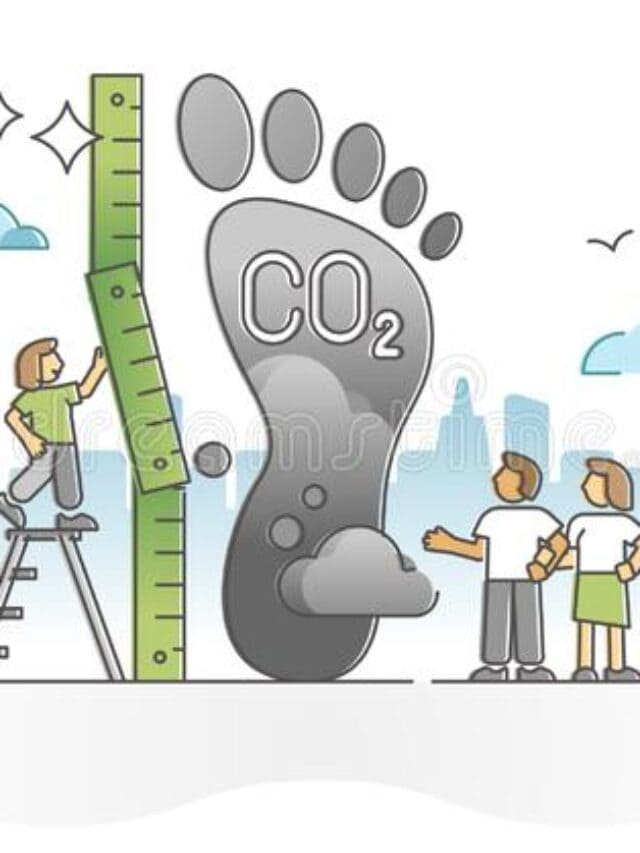What is Carbon Footprint? Why is a Carbon Footprint so Important?